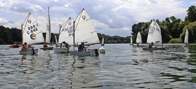 Sasbach. Segelregatte bei Sonnenschein auf dem Rhein.  | Foto: Roland Vitt