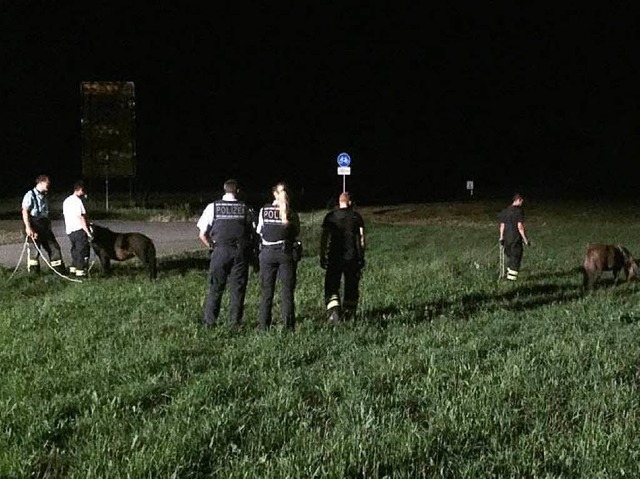 Polizei und Feuerwehr beim Einfangen der Ponys in Hugstetten.  | Foto: Feuerwehr March