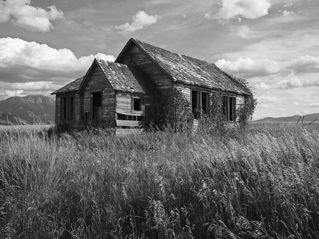 Reiner Bauer: Das alte Haus von Rocky Docky