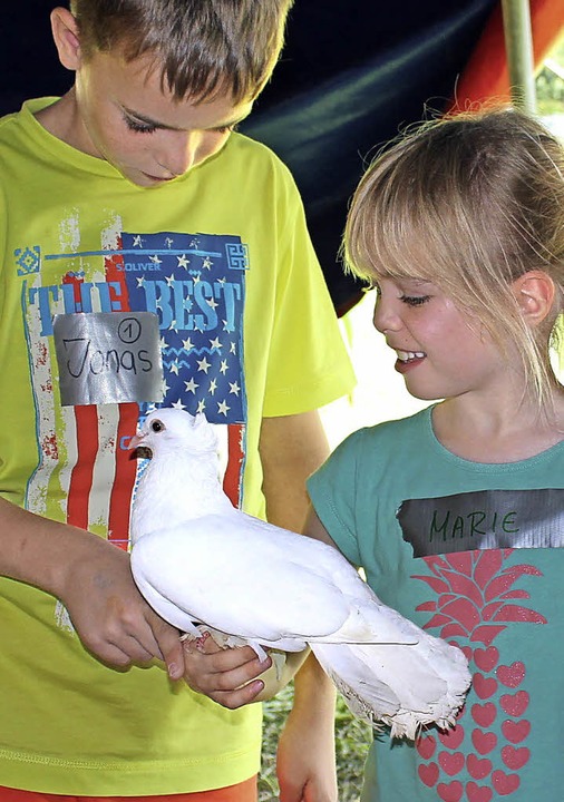 Tatschlich es klappt: Die  weie Taube setzt sich auf die Hand.  | Foto: Anja Bertsch