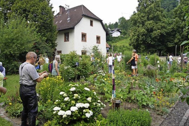 Zauber(hafter) Garten mitten in Oberprechtal