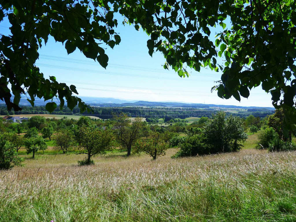 Ein Sommerspaziergang auf dem Dinkelberg bietet manch reizvolle Ausblicke bis weit in die Schweiz und zum Chrischonaturm (rechts hinten).Fotografin: Claudia GemppBZ Fotosommer, Thema:  Reisen