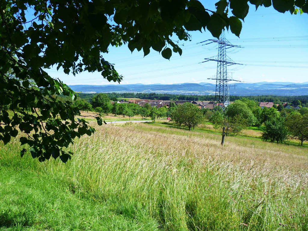 Ein Sommerspaziergang auf dem Dinkelberg bietet manch reizvolle Ausblicke wie hier auf den Ortsteil Nordschwaben.Fotografin: Claudia GemppBZ Fotosommer, Thema: Reisen
