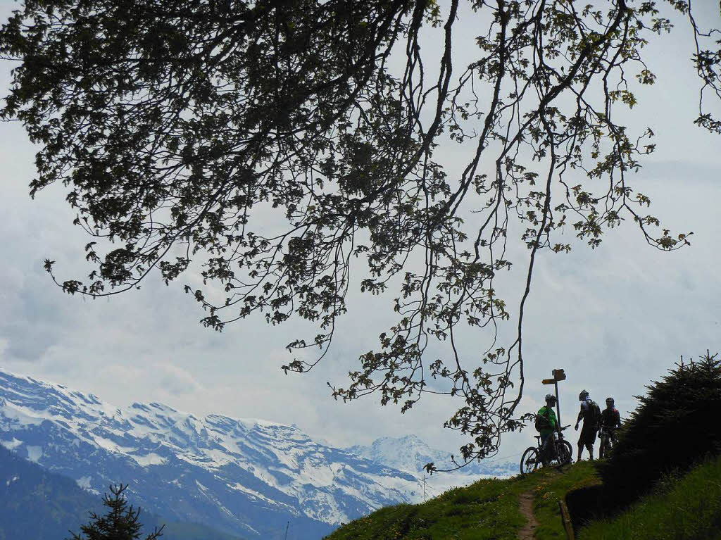 Vom Pilatus nach Alpnachstad sind wir nicht geradelt, sondern haben diese Sportler  gesehen. Respekt, wie sie die steile Strecke vom Berg ins Tag gemeistert haben. Fotografen: Martina und Wilfried Promesberger, BZ Fotosommer, Thema: Reisen