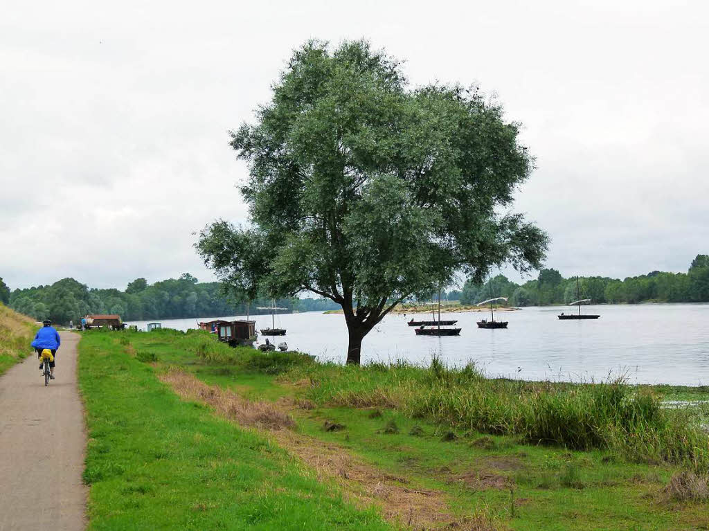 Sind mit dem Velo von Orleans Richtung Atlantikkste der Loire entlang gefahren!  Panasonic DMC FZ 100, Brennweite 11,0 mm, 1/800 s, F/4.0, ISO 160 Fotograf: Paul LtzelschwabBZ Fotosommer, Thema: Reisen