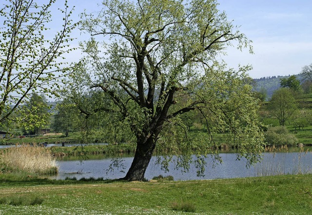 Die Fischweiher sind neben vielem im Magazin zu finden.   | Foto: W. Hoffmann