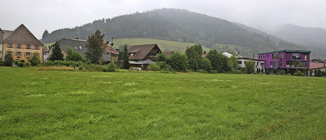 Auf dieser Wiese nahe am Eingang des S...knnten Gewerbebetriebe Platz finden.   | Foto: Heiss