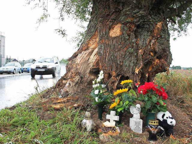 Blumen und Kerzen liegen an der Unfallstelle bei Gro Kiesow.  | Foto: dpa