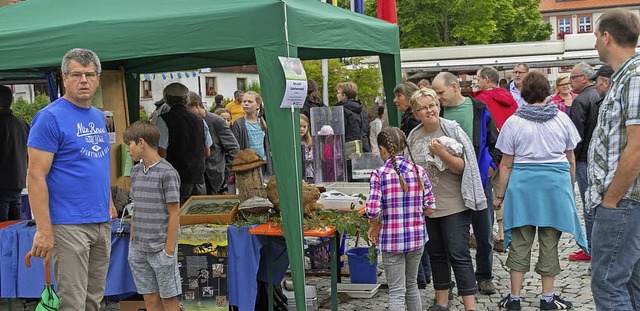 Regionale Produkte wurden auf dem Natu...ten, der auf dem Dorfplatz stattfand.   | Foto: Chris Seifried