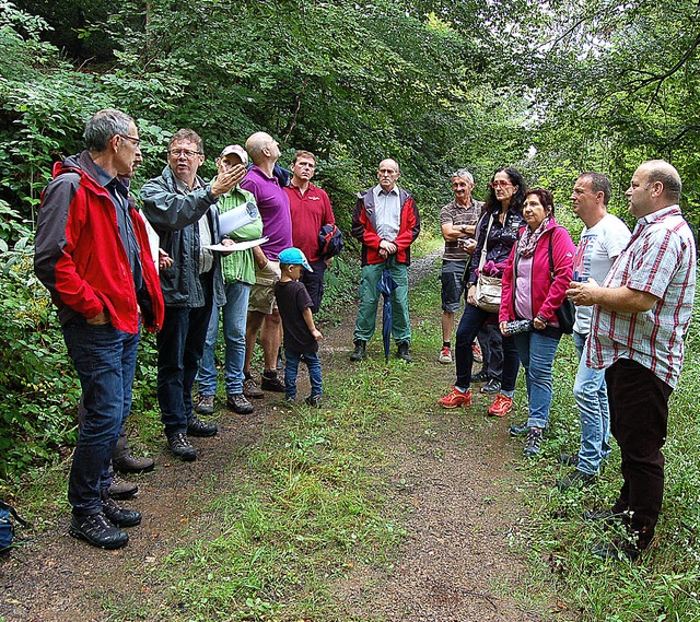 Der Sexauer Gemeinderat war mit Forsta...von links) im Gemeindewald unterwegs.   | Foto: Christian Ringwald