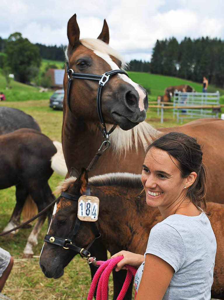 Fohlenschau 2016: Eine perfekte Veranstaltung mit 71 Fohlen und ihren Mttern im Rossfestjahr in St. Mrgen. Foto: Wolfgang Scheu