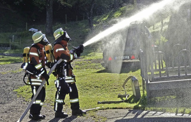 Gemeinsame bung Feuerwehr Freiamt und...r eine Lschwaserversorgung aufgebaut.  | Foto: Aribert Rssel