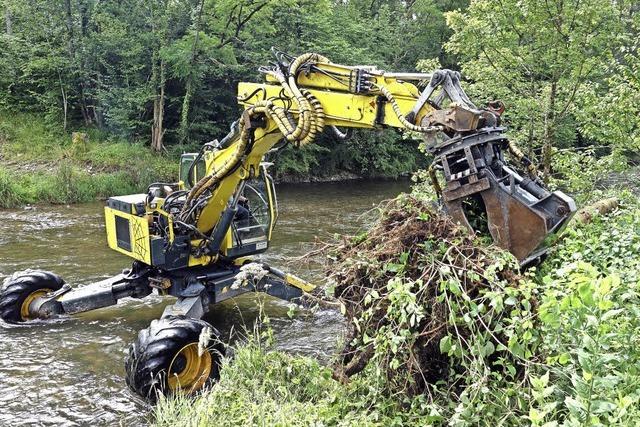 Die Wutach soll revitalisiert werden