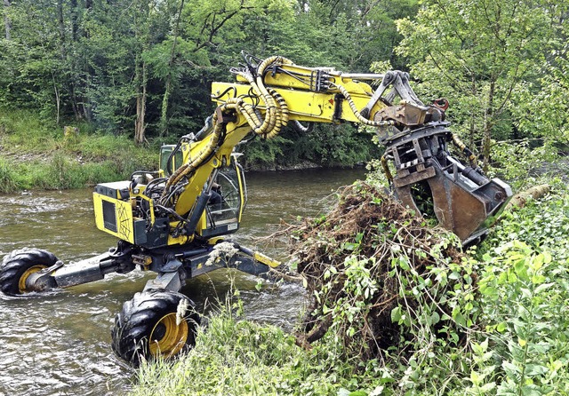 Mit Hilfe eines Schreitbaggers werden ...ehievt.                                 | Foto: Andreas Mahler