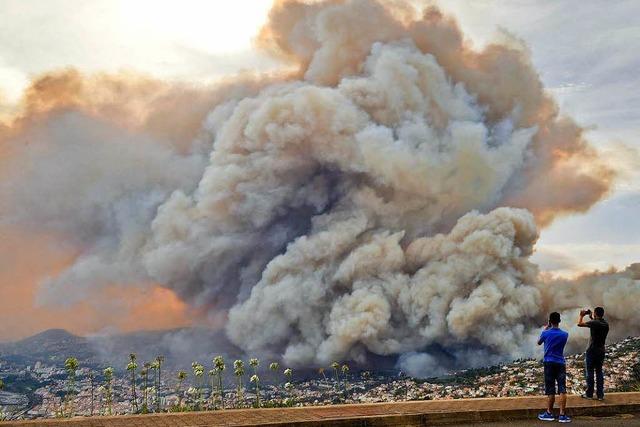 Fotos: Waldbrand auf Insel Madeira bedroht Hauptstadt