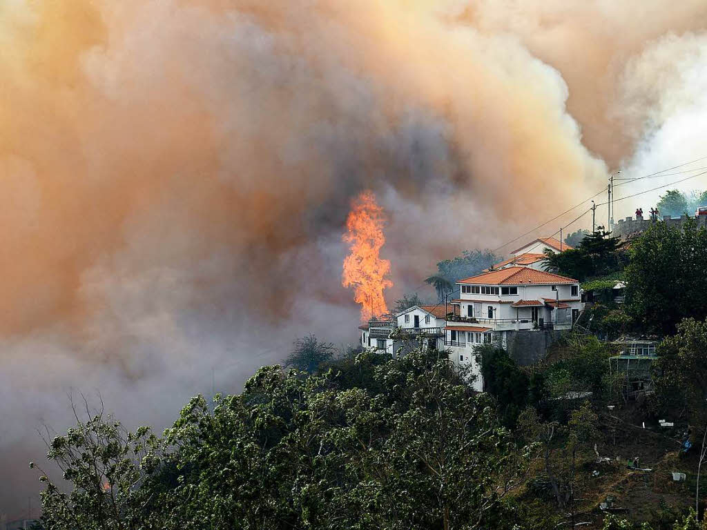 Die Lage auf Madeira, wo seit Montag Waldbrnde wten, hat sich gefhrlich zugespitzt. Die Brnde erreichten am Mittwoch das Zentrum der Insel-Hauptstadt Funchal, drei Menschen kamen in ihren Husern ums Leben. Rund tausend Menschen mussten in Sicherheit gebracht werden, darunter auch Touristen.