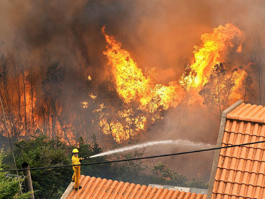 Die Lage auf Madeira, wo seit Montag Waldbrnde wten, hat sich gefhrlich zugespitzt. Die Brnde erreichten am Mittwoch das Zentrum der Insel-Hauptstadt Funchal, drei Menschen kamen in ihren Husern ums Leben. Rund tausend Menschen mussten in Sicherheit gebracht werden, darunter auch Touristen.