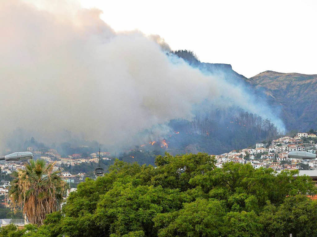 Die Lage auf Madeira, wo seit Montag Waldbrnde wten, hat sich gefhrlich zugespitzt. Die Brnde erreichten am Mittwoch das Zentrum der Insel-Hauptstadt Funchal, drei Menschen kamen in ihren Husern ums Leben. Rund tausend Menschen mussten in Sicherheit gebracht werden, darunter auch Touristen.