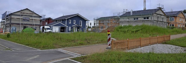 Dem  letzten Bauantrag im &#8222;Locha...hat der Gemeinderat Binzen zugestimmt.  | Foto: Markus Maier