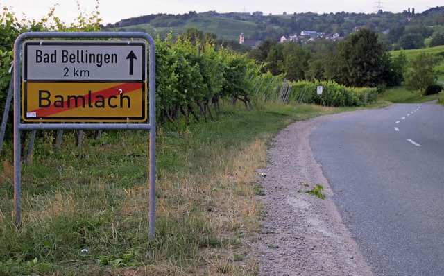 Der Radweg zwischen Bad Bellingen und ...kiert - hier im Bild links der Strae.  | Foto: Jutta Schtz