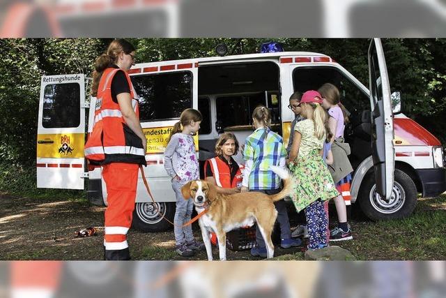 Wie Hunde Menschen in Not aufspren