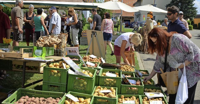Bauernmarkt beim Forchheimer Hrdepfel-Dorffest am Sonntag   | Foto: Roland Vitt