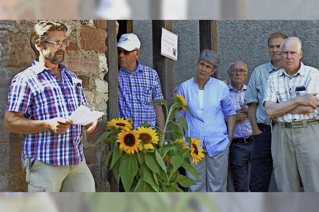 Rheinfelden/Schweiz nimmt Abschied von den heimisch gewordenen Strchen