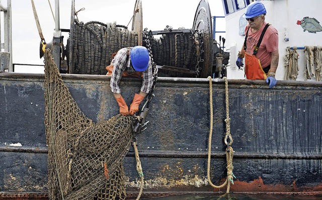 Mit einer Netzharke bergen die  Fische...Rgen bei Sassnitz  ein  Geisternetz.   | Foto: dpa