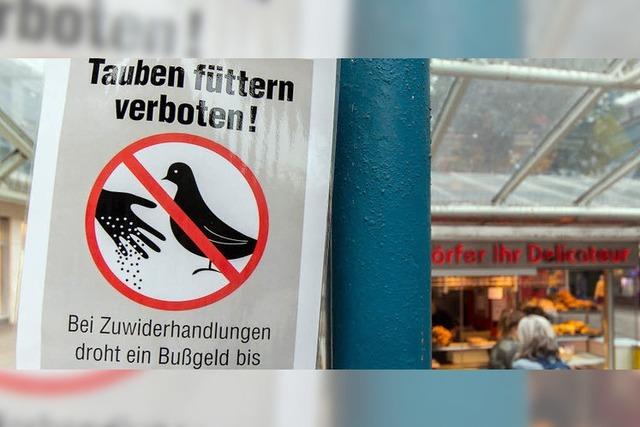 Plakate überzeugen die Taubenfütterer nicht