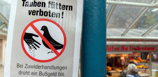 Plakate zum Taubenverbot haben meist wenig Wirkung.   | Foto: dpa