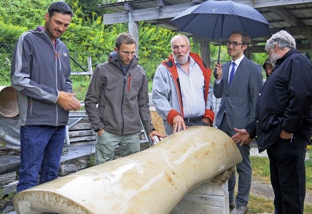 Der Oberrotweiler Ortschaftsrat besich...e Stele des geplanten Skulpturenpfads.  | Foto: Claudia Mller