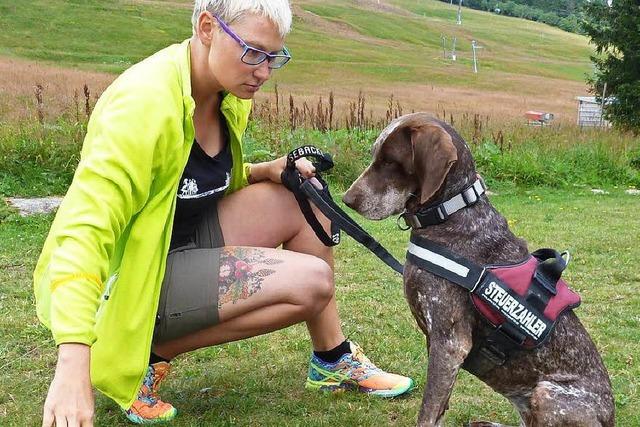 Wie Hundehalter ihre Tiere besser kontrollieren knnen