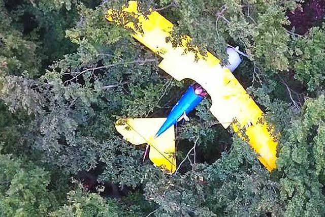 Bruchlandung im Wald - Pilot nach fast 13 Stunden gerettet