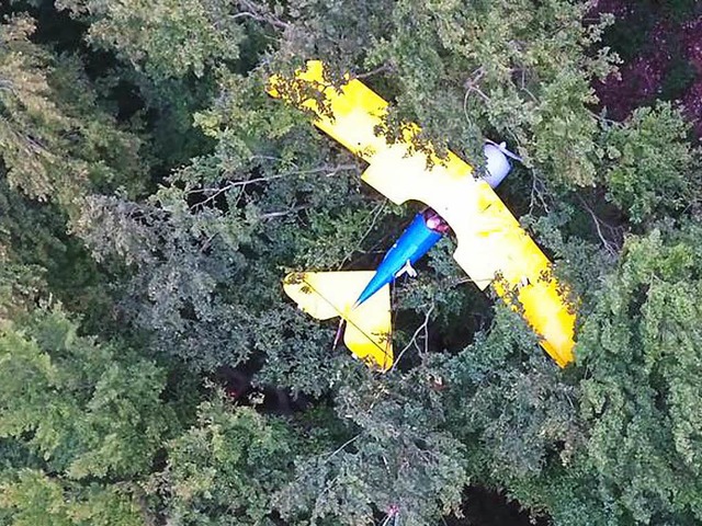 Das Flugzeugwrack im Wald.  | Foto: dpa