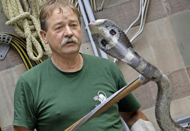 Tierpfleger Harry Aberle hlt eine hochgiftige Brillenschlange.   | Foto: dpa