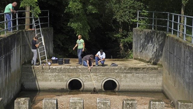 Um die notwendigen Messungen vorzunehm...ltebeckens Tritschlersge getroffen.    | Foto: Volker Mnch