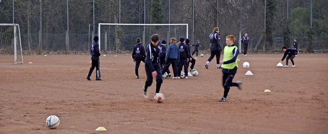 Knnten nach Ansicht des Sportringes o...tzt werden: die Pltze im Nonnenholz.   | Foto: Fillisch