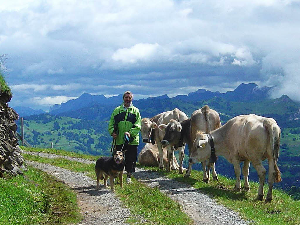 Gemeinsames Wandern von Mensch und Tieren in der Einsamkeit der Alpen oberhalb des Vierwaldstttersees ist ein nicht alltgliches Erlebnis von Besonderheit. Aufgenommen mit Canon Lenz 8x5 von Werner Nuss, RheinfeldenBZ-Fotosommer, ThemaTiere