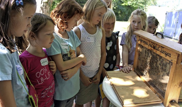 Die Fez-Kinder knnen beim Imkerverein...aukasten einen Bienenvolk beobachten.   | Foto: Archivfoto: Ursula Freudig