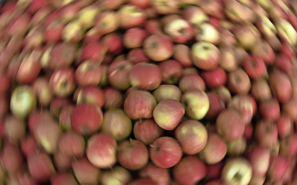 Ob die Ortenauer Äpfel 2016 im Schnitt...t sich erst in ein paar Wochen sagen.   | Foto: dpa