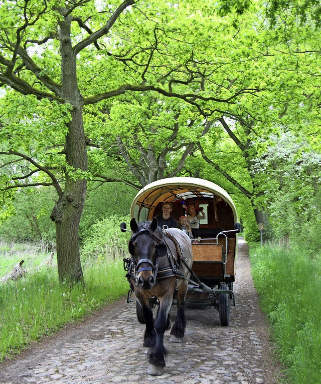 Abseits des Verkehrs: Die Route fhrt ...ahrer meist ber ruhige Nebenstraen.   | Foto: dpa