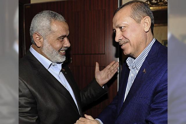 Die Türkei und ihre islamistischen Partner