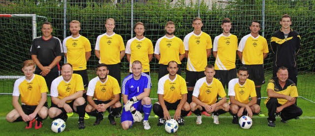 Das Team des FV Haltingen geht optimistisch in die neue Saison.   | Foto: Sedlak