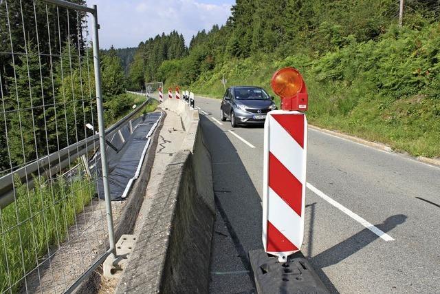 Bohrpfhle sollen den Hang sichern