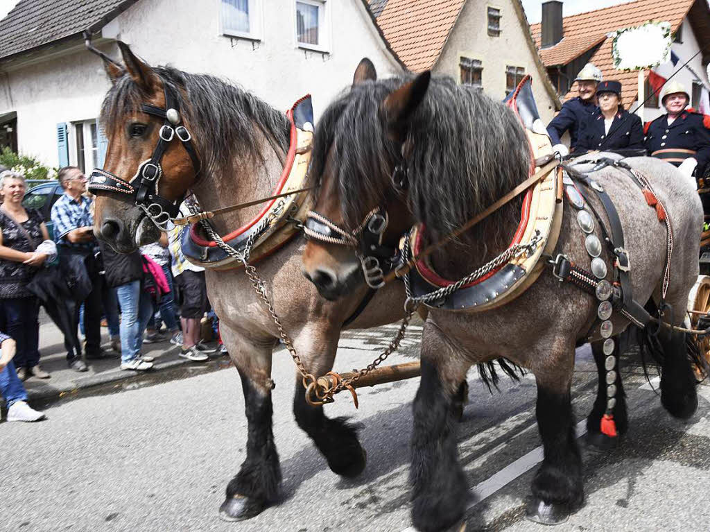 Impressionen vom Festumzug in Rheinhausen