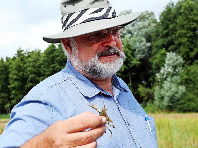 Der Biologe Andreas Martens hat einen ...rsprnglich in den USA beheimatet ist.  | Foto: dpa