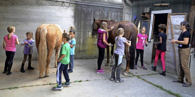 Knigschaffhausen.  Die Kinder beim pu... Pferde. Ganz rechts Christiane Franz.  | Foto: Roland Vitt