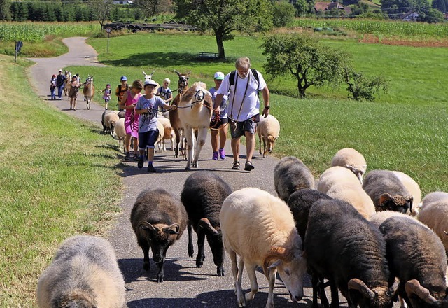 Lamas, Schafe, Esel und Kinder genossen die schne Wanderung durch den Sommer.   | Foto: SPD-Ortsverein