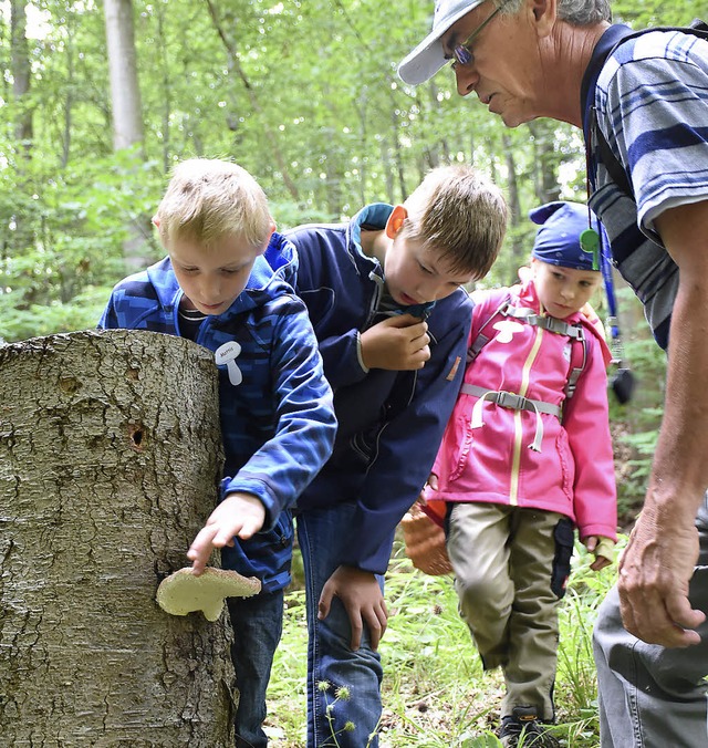 Die Kinder lernten den Rotrandigen Bau...en auch Deutschlandpilz genannt wird.   | Foto: Sebastian Khli