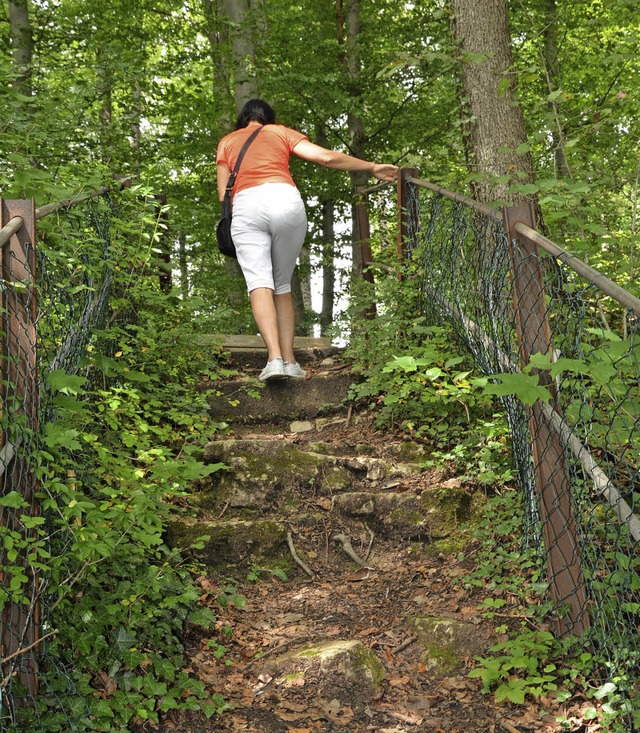 Wer zum Grabbestei will, muss trittsicher sein.   | Foto: Heinz Vollmar